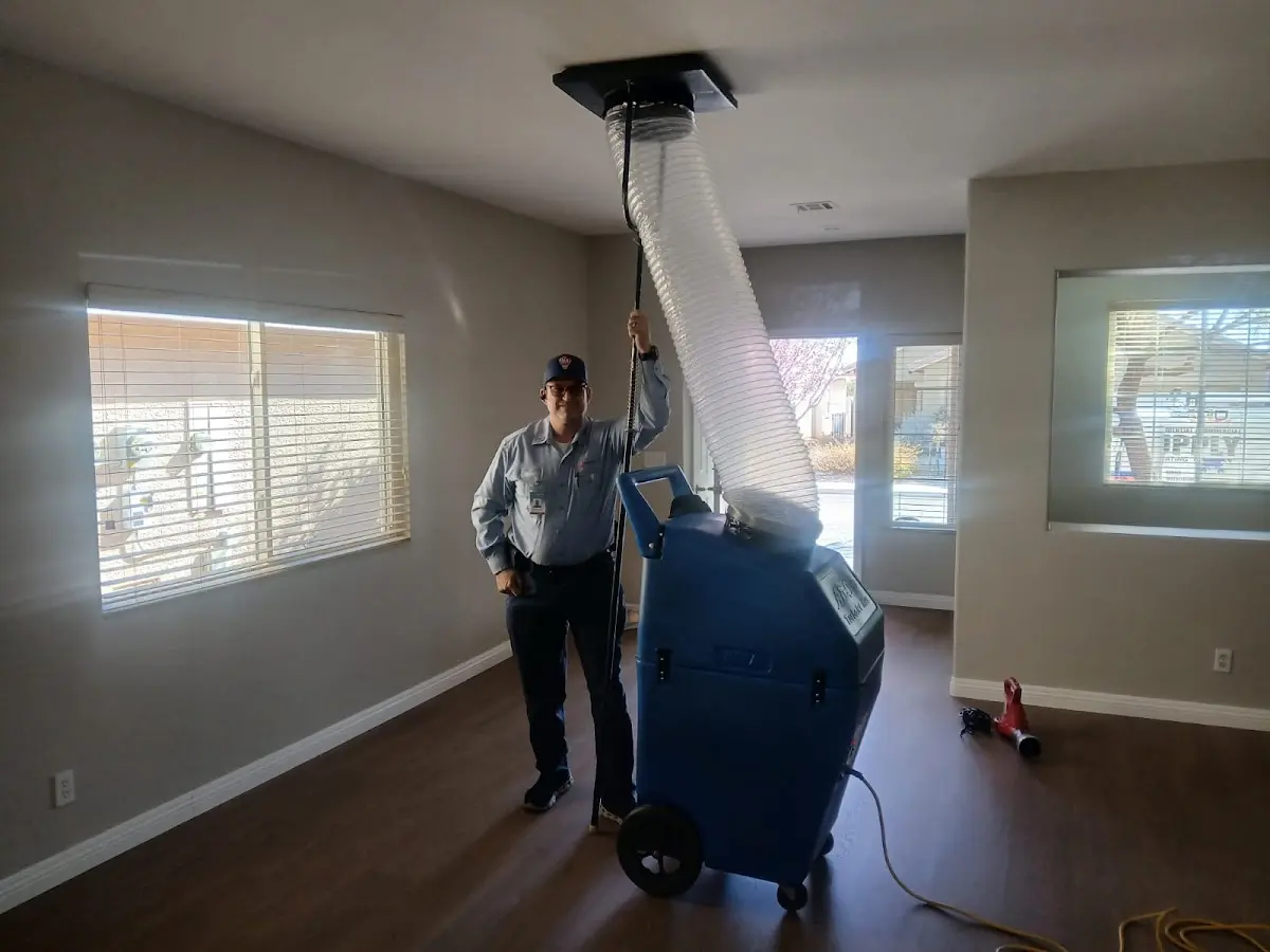 Professional Dryer Vent Cleaning work inside a Hope home